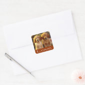 Sticker Carré Love Golden Retriever Chien Chien Chien Chien Chie (Enveloppe)