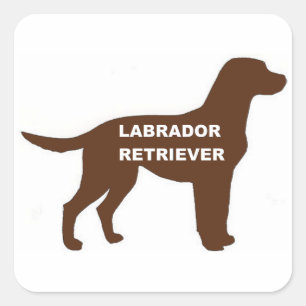 Sticker Carré LR chocolat nom de laboratoire silhouette