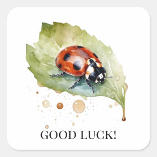 Sticker Carré Lucky Ladybug sur la feuille
