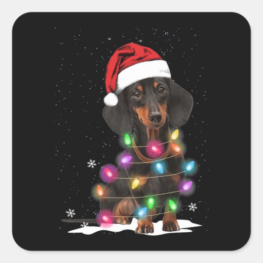 Sticker Carré Lumières De Noël Dachshund Avec Neige (Devant)