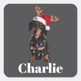 Sticker Carré Lumières de Noël pour chien teckel personnalisées 