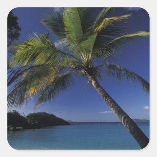 Sticker Carré L'une des meilleures plages du monde ; Trunk Bay s