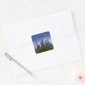 Sticker Carré Lupins (Enveloppe)