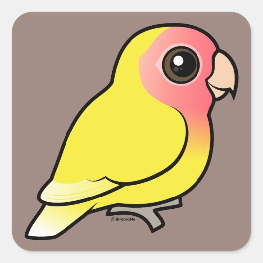 Sticker Carré Lutino Peach face Lovebird (Devant)