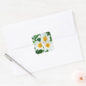 Sticker Carré Lys blancs - Lilium Flower candidum (Enveloppe)