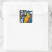 Sticker Carré Macao tropical jaune vert et bleu (Sac)