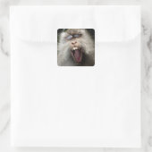 Sticker Carré Macaques à queue longue (Macaca fascicularis) (Sac)