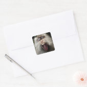 Sticker Carré Macaques à queue longue (Macaca fascicularis) (Enveloppe)