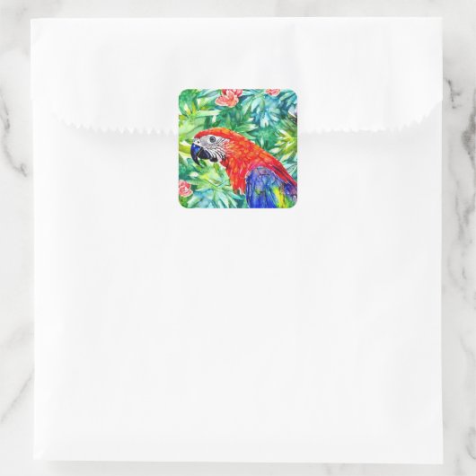 Sticker Carré Macaw Parrot (Sac)
