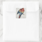 Sticker Carré Macaw rouge et jaune (Sac)