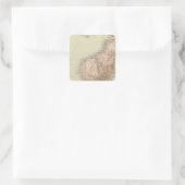 Sticker Carré Madagascar (Sac)