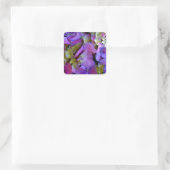 Sticker Carré Magenta Purple bleu jaune Hydrangeas fleurs (Sac)