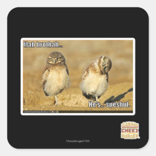 Sticker Carré Mah brothah