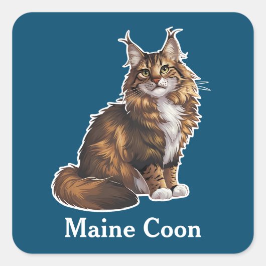 Sticker Carré Maine Coon (Devant)