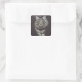 Sticker Carré Maine Coon (Sac)