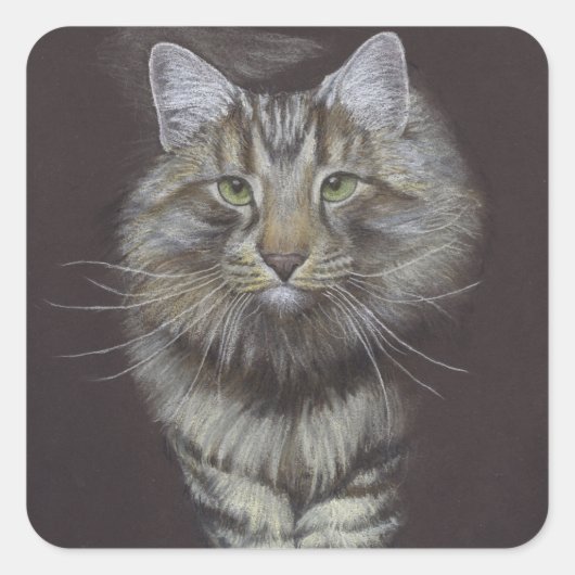 Sticker Carré Maine Coon (Devant)