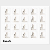 Sticker Carré Maine Coon (8 mois) assis (Feuille)
