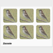 Sticker Carré Maison Sparrow 2008 (Feuille)