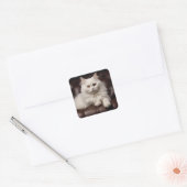 Sticker Carré Majestic white cat (Enveloppe)
