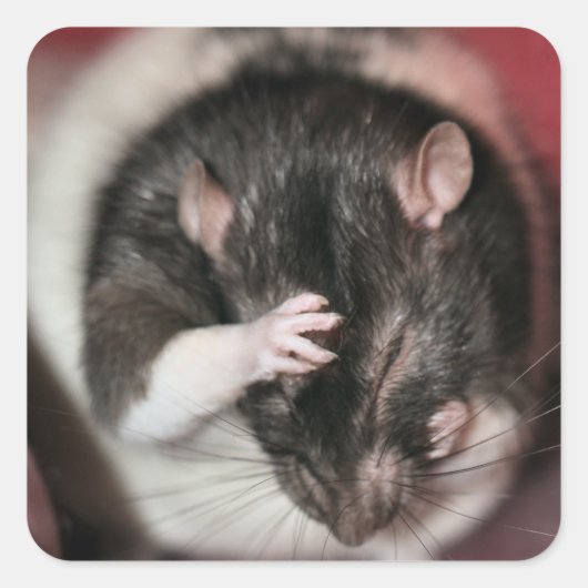 Sticker Carré Mal de tête ! (Devant)