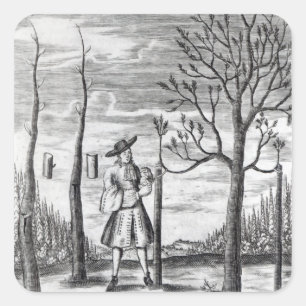 Sticker Carré Maladies de jardinage et de plante