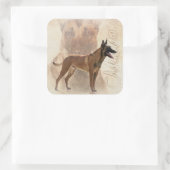 Sticker Carré Malinois - Berger belge - Mechelaar (Sac)