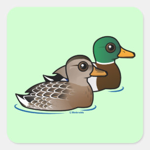 Sticker Carré Mallard Pair