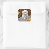 Sticker Carré Maltese Puppy, oh si mignon, (Sac)