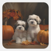 Sticker Carré Malti tzu Puppy Citrouille d'automne (Devant)