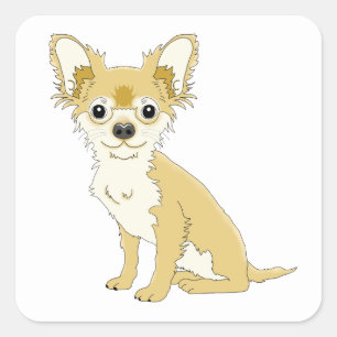 Sticker Carré Maman Chihuahua Chien Papa Chiots Sauvetage Dessin