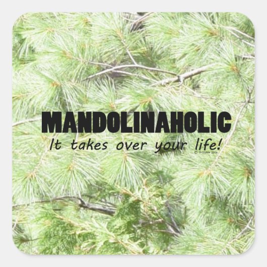 Sticker Carré Mandolinaholic (Devant)