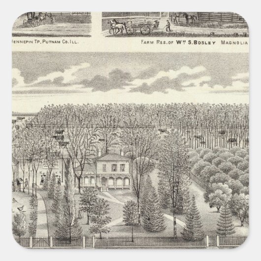 Sticker Carré Maple Grove (Devant)