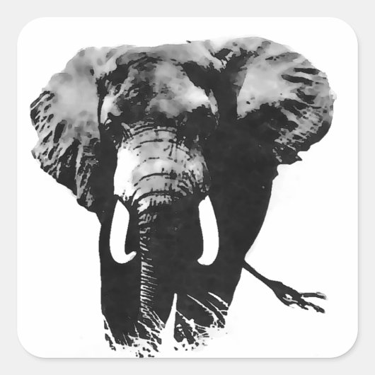 Sticker Carré Marcher Eléphant (Devant)