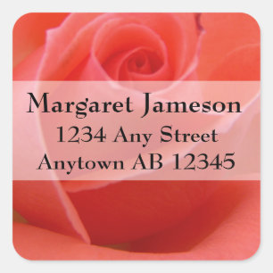 Sticker Carré Mariage Rose rose en pointe blanche Adresse de ret