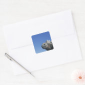 Sticker Carré Marine Iguana (Enveloppe)