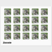 Sticker Carré Marmotte (Feuille)