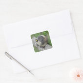 Sticker Carré Marmotte (Enveloppe)