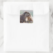 Sticker Carré Marmotte mère avec bébé (Sac)