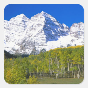 Sticker Carré Maroon Bells avec forêt de trembles en automne.