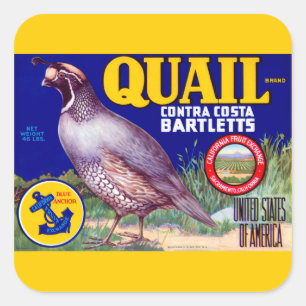 Sticker Carré Marque Quail Contra Costa Bartletts