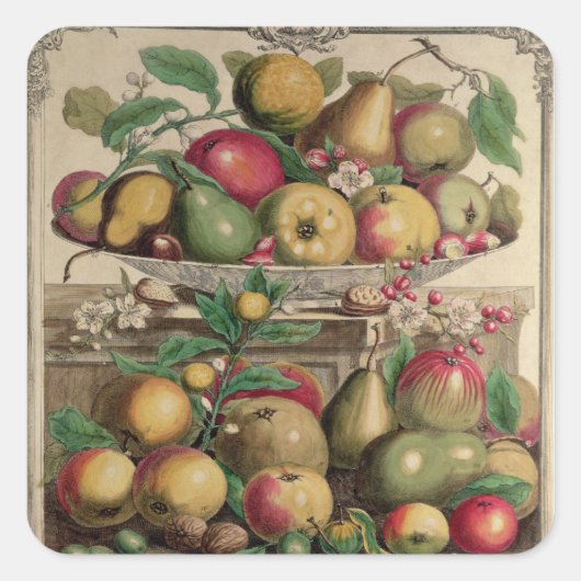 Sticker Carré Mars, à partir de "Douze mois de fruits" (Devant)
