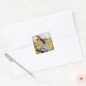 Sticker Carré Meadowlark sur une branche (Enveloppe)