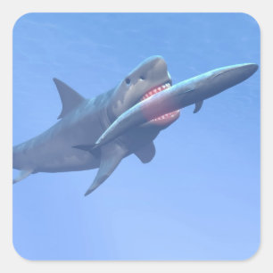 Sticker Carré Megalodon mangeant une baleine