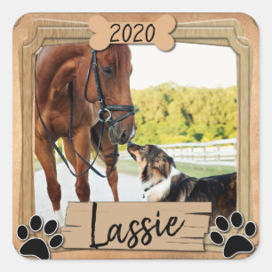 Sticker Carré Meilleures photos d'amis animaux
