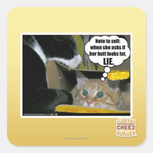 STICKER CARRÉ MENER