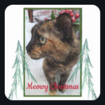 Sticker Carré Meowy Christmas Chat Photo À feuillage persistant<br><div class="desc">Cet autocollant comporte une photo de chat personnalisable que vous pouvez remplacer par votre propre photo. Il contient le message "Meowy Christmas". Deux branches à feuillage persistant d'art fractal encadrent chaque côté de la photo. La photo est bordée de vert et le message est écrit en rouge. Placez cet autocollant...</div>