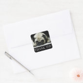 Sticker Carré Merci Carlin Chien Chien Chien Chien Noir & Blanc (Enveloppe)
