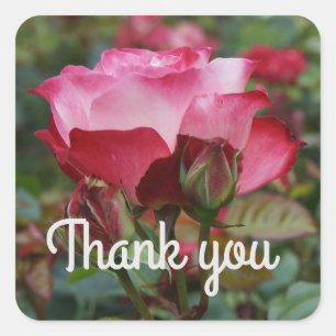 Sticker Carré Merci Cherry Parfait Rose #1-2