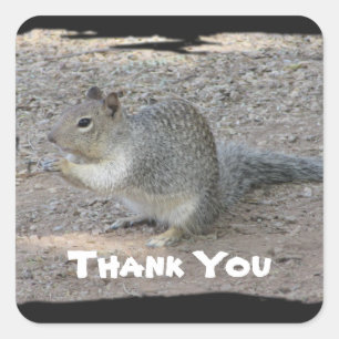 Sticker Carré Merci Cute Grey Squirrel Photo Appréciation