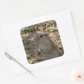 Sticker Carré Merci écureuil de sol Photo Animal du désert (Enveloppe)